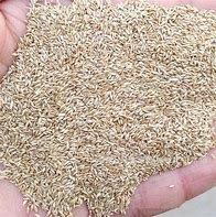 Grass Seed no2